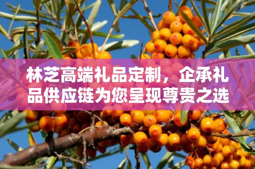 林芝高端礼品定制，企承礼品供应链为您呈现尊贵之选